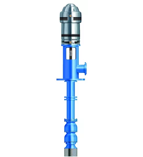 Goulds Water Technology VIT-DITM 6MMO